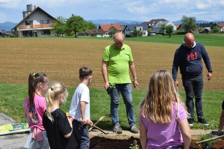 Medovite rastline - 17